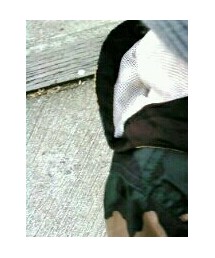 GAP | ナイロンジャケット