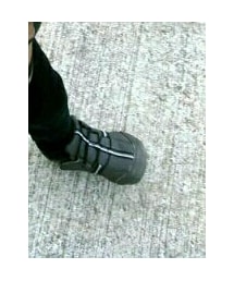 ピジョン | スニーカー