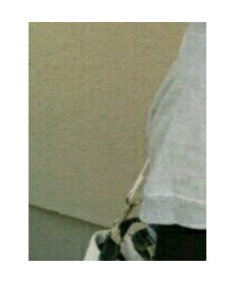 しまむら | トートバッグ