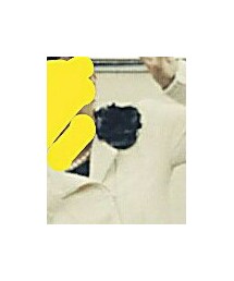 ZARA | ブローチ/コサージュ