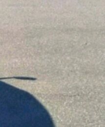 Champion | その他トップス