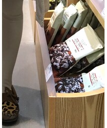 Minnetonka | スリッポン