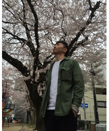 桜 | その他