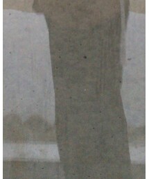 DRESSEDUNDRESSED | スラックス