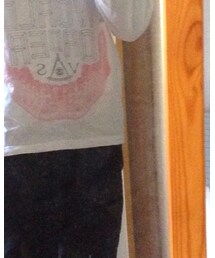 STUSSY | Tシャツ/カットソー