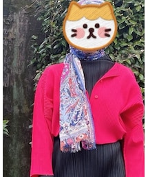 ETRO | マフラー