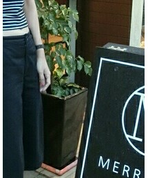 American Eagle | トップス