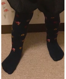 イギリスお土産 | タイツ/ストッキング