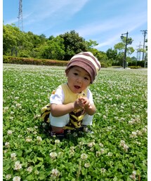 シロツメクサ！ゲットだぜっ( • ̀ω•́ )b ✧ | ラッピングキット