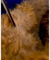 OPENING CEREMONY | その他アウター