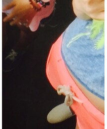 Bershka | その他パンツ