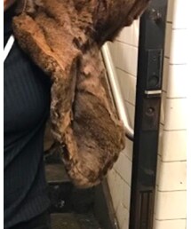 UNKNOWN. | ダウンジャケット/コート