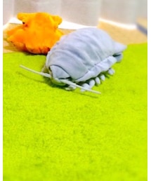 ダイオウグソクムシ♡パパのおみやげ | おもちゃ