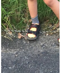 韓流 | ソックス/靴下