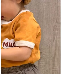 MILO | Tシャツ/カットソー