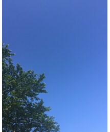 空 | その他