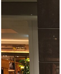 Champion | ハット