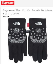 Supreme  | sup×north glove(手袋)