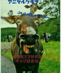 アニマルクラブ | その他