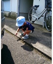 いつもの朝 | その他