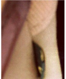 BRADY | ショルダーバッグ