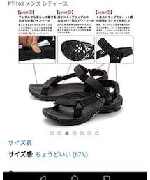 Palm Tree | サンダル