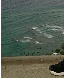 Reebok | スニーカー