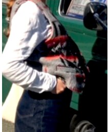 PENDLETON | ベスト