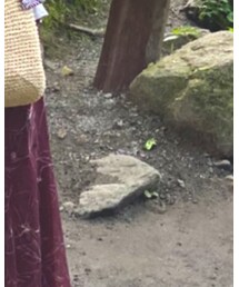 RAY CASSIN | ベルト