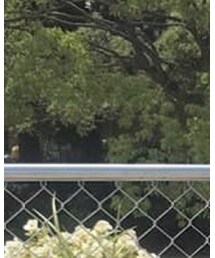 ROSE BUD | サロペット/オーバーオール