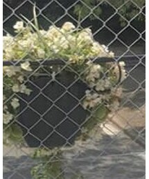 flower | かごバッグ