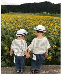 🌻 | その他