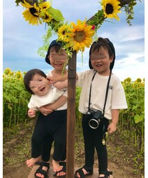 🌻 | その他
