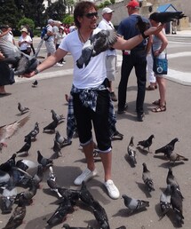 平和の象徴 鳩鳩!(その他)