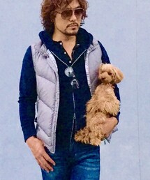 トイプードル | 今日のわんこ(その他)