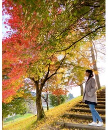 紅葉♡*ଘ(੭*ˊᵕˋ)੭* ੈ✩‧₊˚ | シャツ/ブラウス