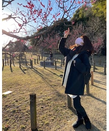 THE NORTH FACE | ジャケット/アウター