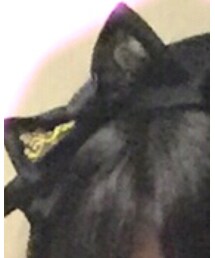 Innocent World | カチューシャ