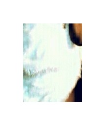 AVNAH Collection  | チェスターコート