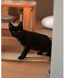 クロちゃん🐱 | その他