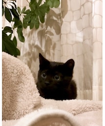 クロちゃん🐈🐾 | その他
