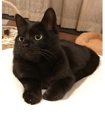 クロちゃん🐈 | その他