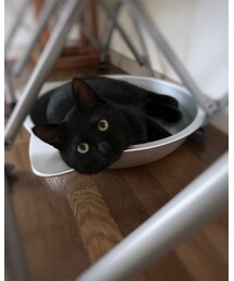 クロちゃん🐈 | その他