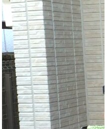 POLA | アナログ腕時計