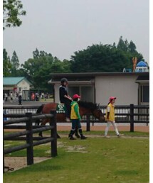 乗馬体験♡ | タケトミと言うお馬さんにお世話になりました！(その他)