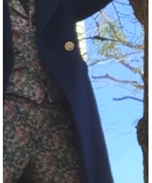 aquagirl | チェスターコート