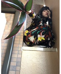 ドラセナの葉っぱ | その他