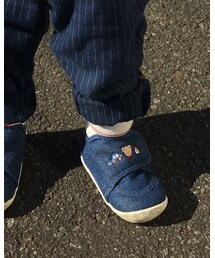 Champion | ソックス/靴下