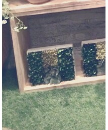 abbotkinny | その他