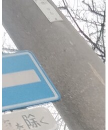 MONCLER | ダウンジャケット/コート